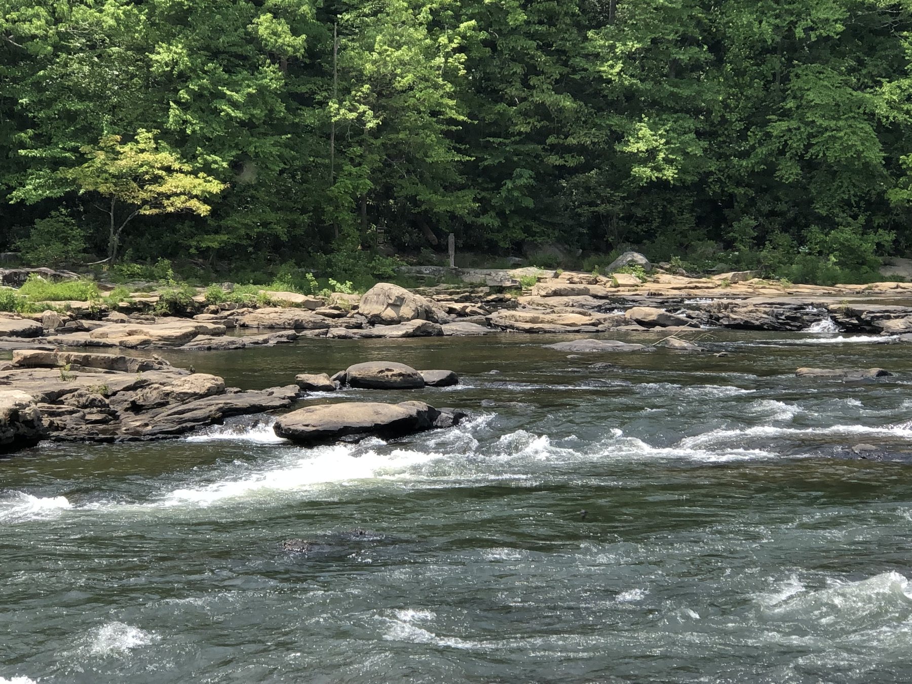 River rapids at Ohiopyle State Park, Pennsylvania
